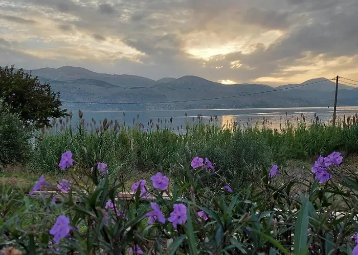 Villa Apollonides Seafront Villa1 Aoede
