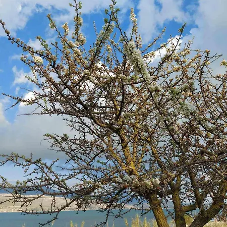 Apollonides Seafront Villa1 Aoede Ληξούρι