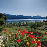 Apollonides Seafront Villa1 Aoede